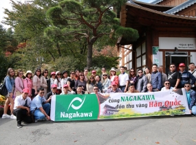 Busan - Gyeongju - Seoul - Nami - Everland - Công viên tuyết One Mount