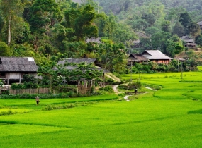Khám Phá Sơn La - Điện Biên - Mai Châu 5Đ