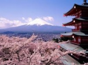Tokyo - Núi Phú Sĩ - Kyoto-Kobe - Osaka