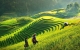 ​Xách vali đi tour du lịch SAPA ngay và luôn